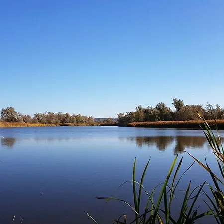 Altstadt Appartement