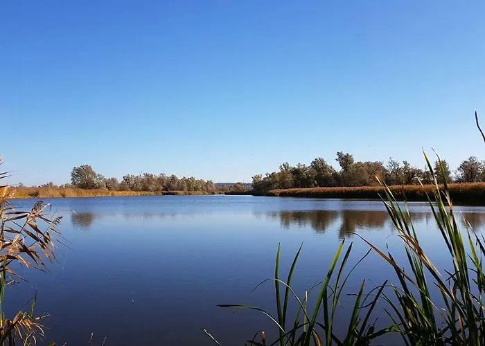 Altstadt Apartamento
